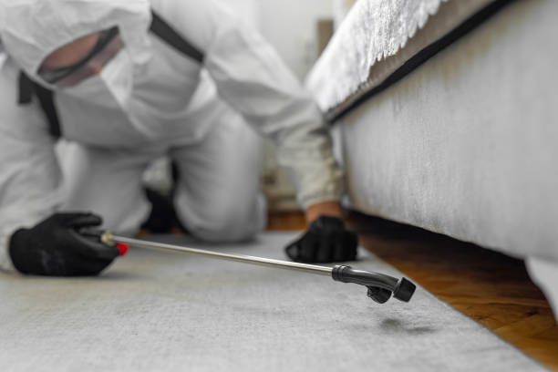 Professional Termite Control technician working in Mercer Island, WA