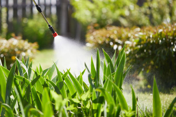 24/7 Emergency Termite Control experts in Mercer Island, WA