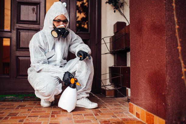 Reliable Termite Control contractor in Mercer Island, WA by Nex Pest Control