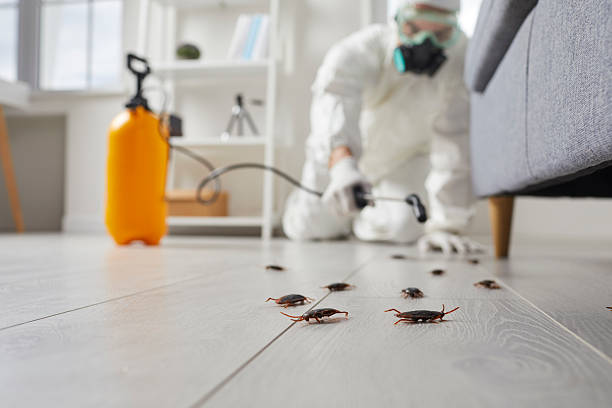 Trusted Fumigation Services service in Mercer Island, WA - Nex Pest Control