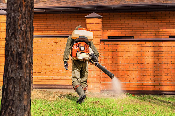 Trusted Ant Control service in Mercer Island, WA - Nex Pest Control